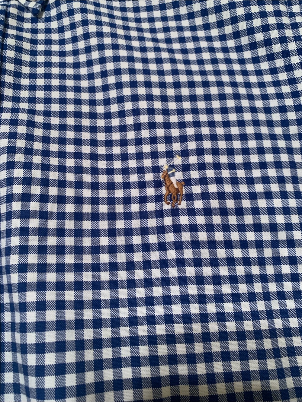 POLO Ralph Lauren Men's Blue Gingham Button-Down Oxford Shirt - Picture 6 of 8